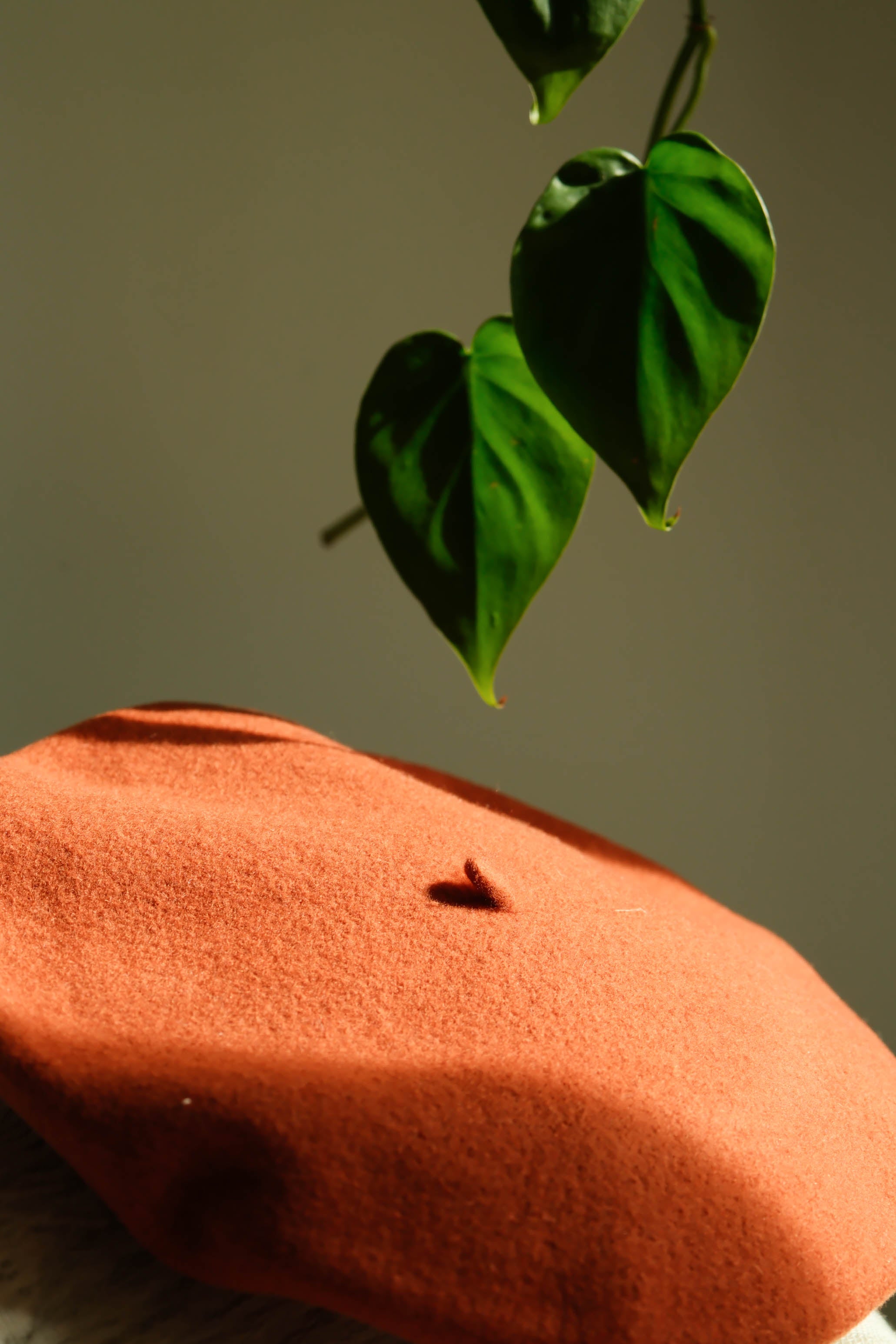Boina CLÁSICA · Terracota